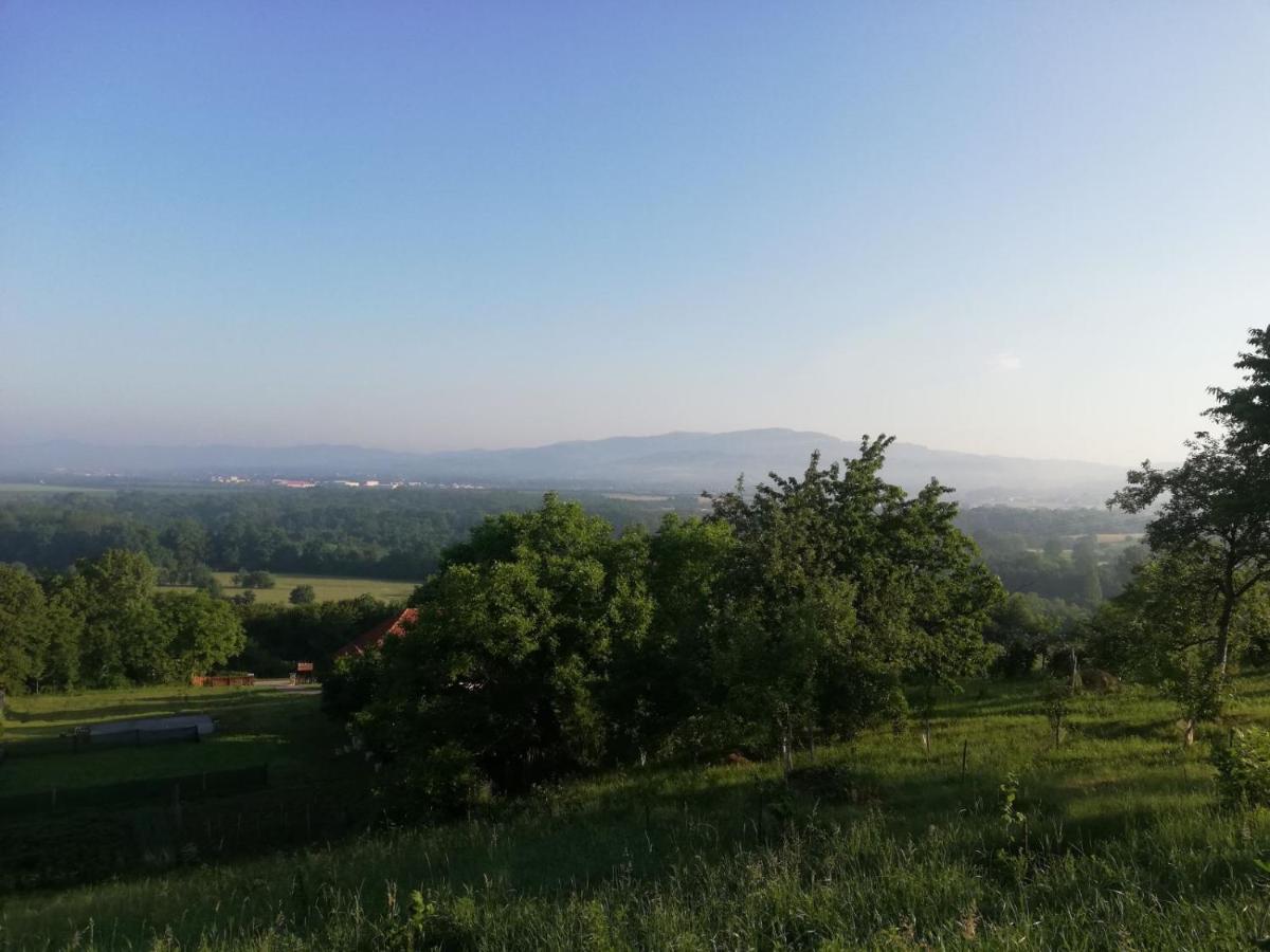 Vikendica I Vajat Vrbica Villa Kalesija Bagian luar foto